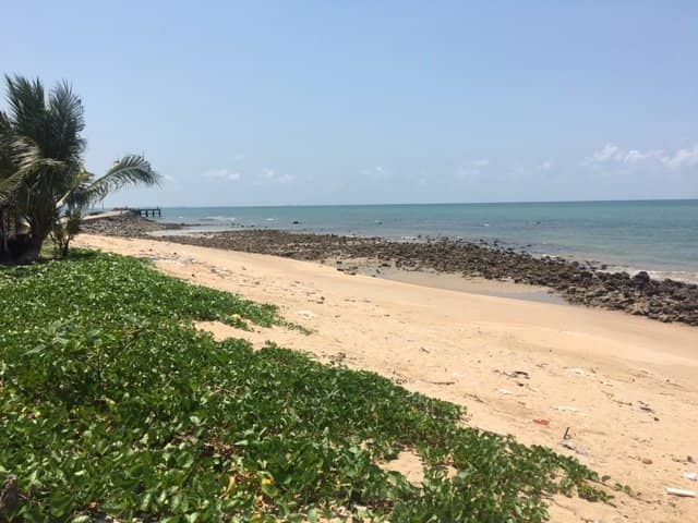 Fresh Seafood Dining