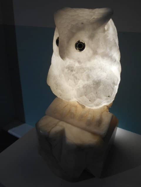 Contemporary Art Collections