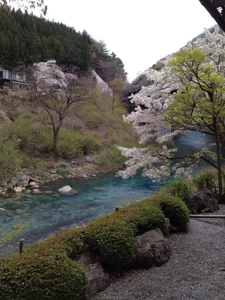 Public Onsen Experience