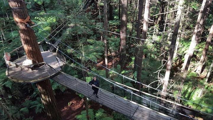 Human-Sized Nest Installation