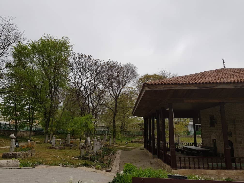 Peaceful Park Setting