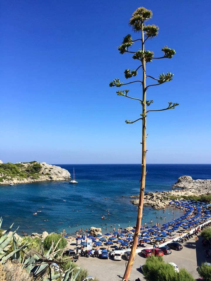 Perfect Beach Food & Drinks