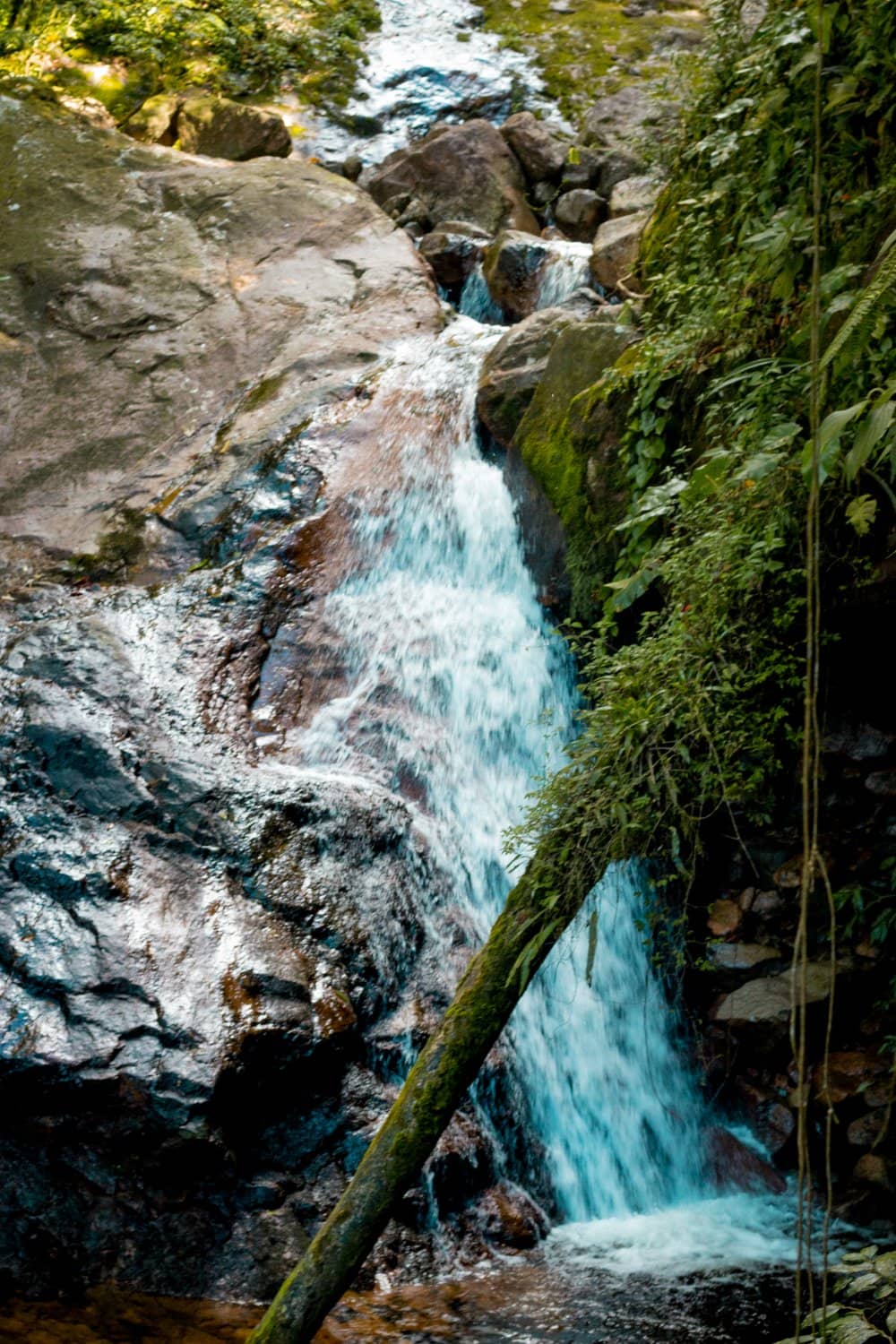 Vertical photo