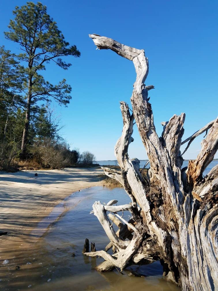 Fossil Beach