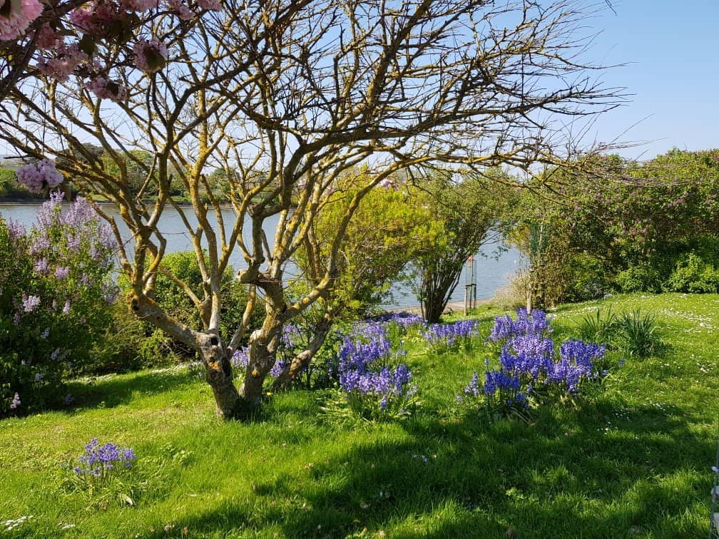 Children's Playgrounds