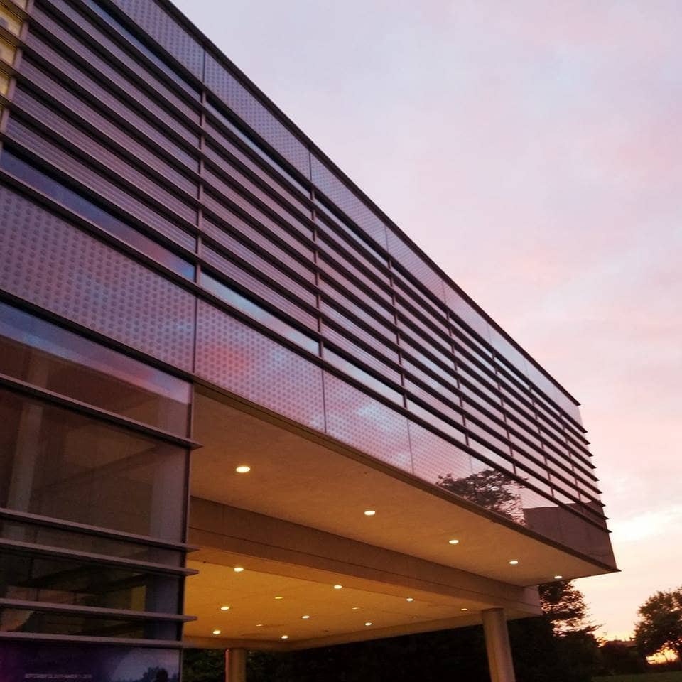 Actions for the Earth: Art, Care & Ecology