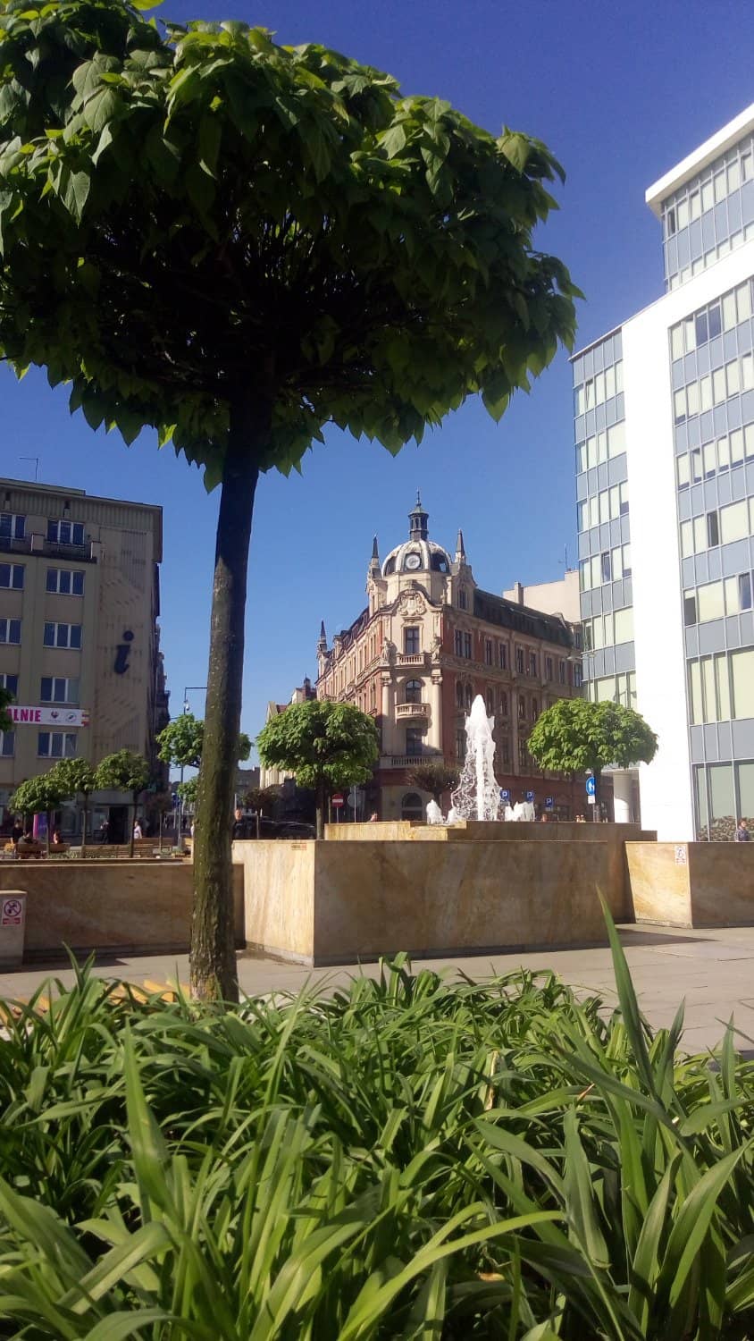 Panoramic City Views