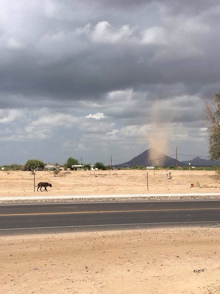 O'odham & Piipaash Artistry