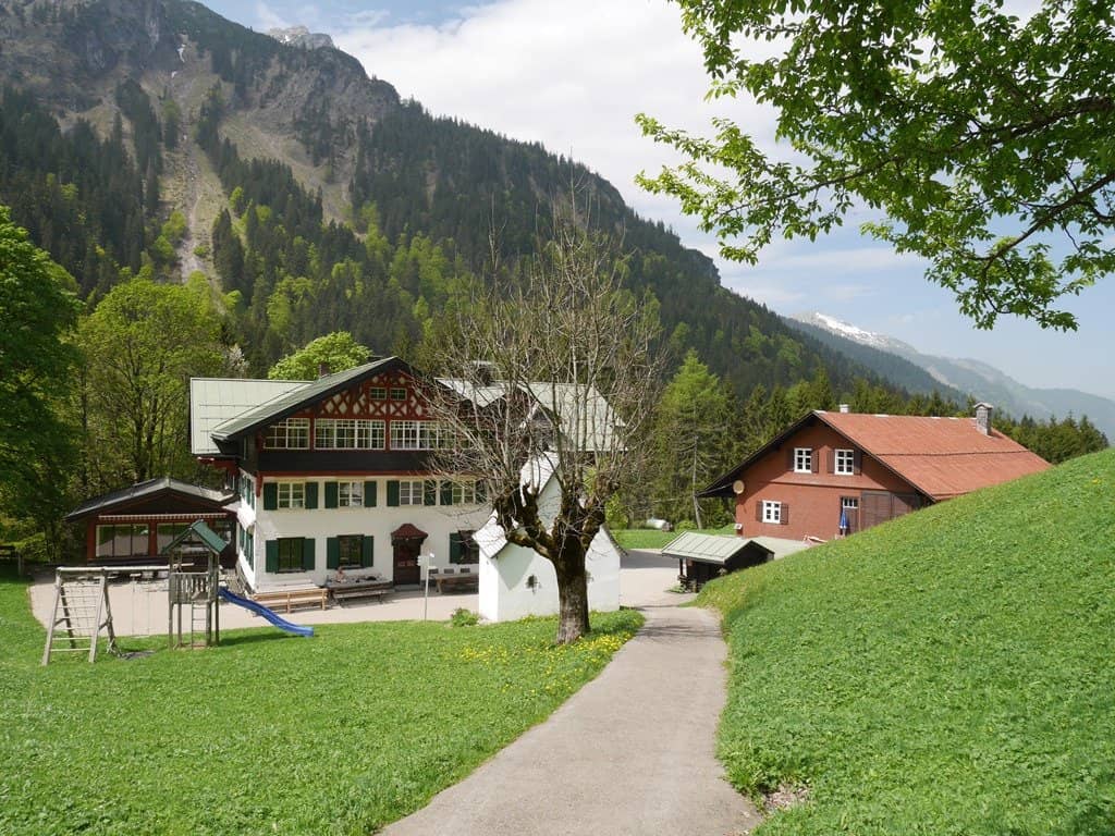 Alpine Meadows and Wildlife