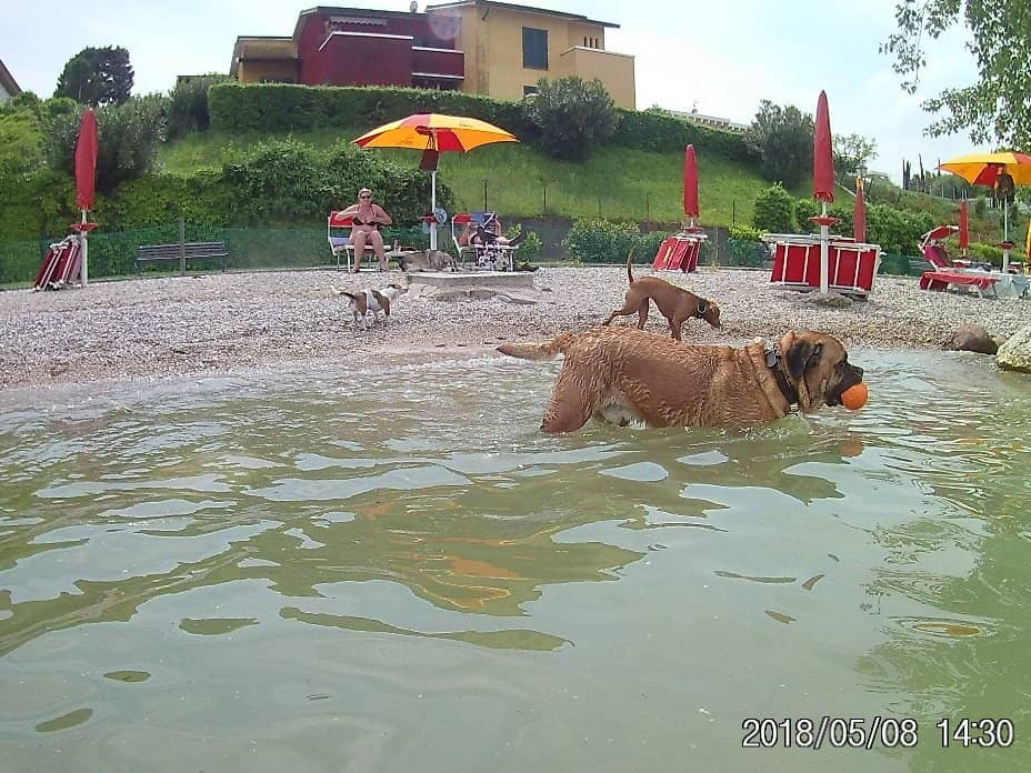 Comfortable Lounging