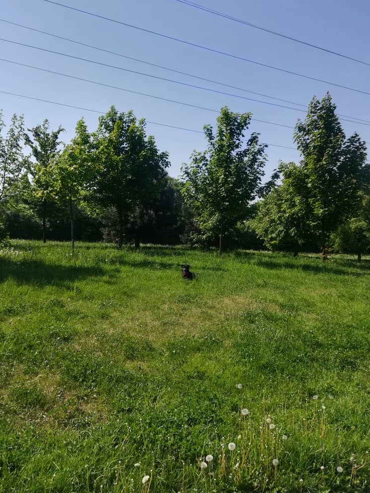 Exhibitions on Resilience