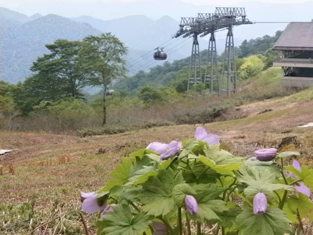 Winter Wonderland Hike