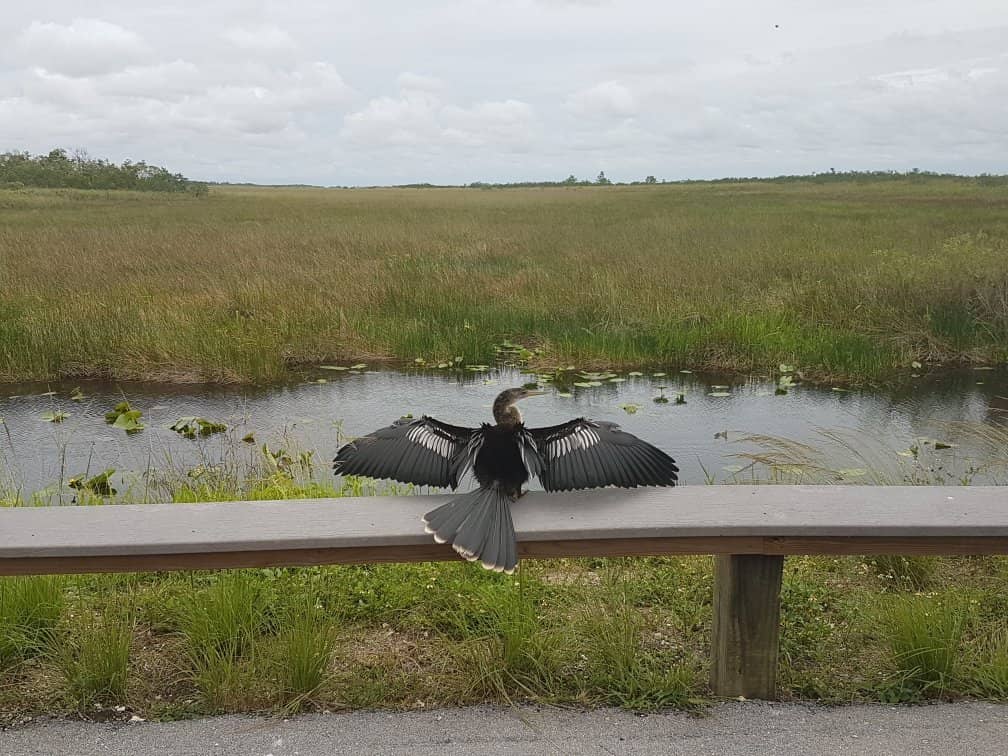 Birdwatching Paradise