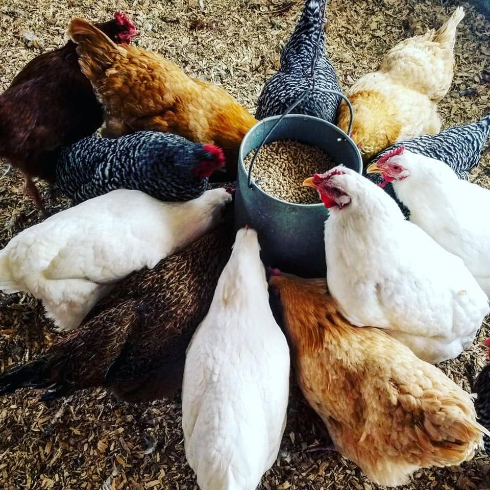 Visitor Center Exhibits