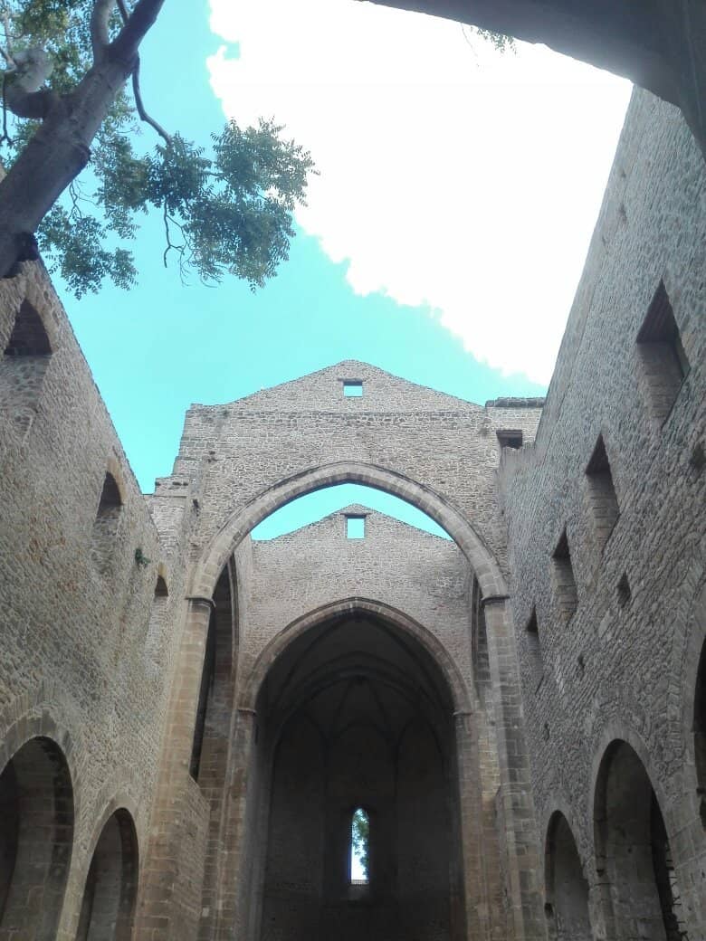 Vertical photo