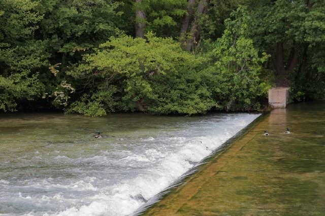 Artistic Installations