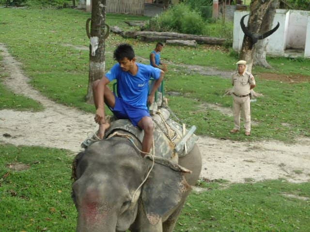 Elephant Safaris