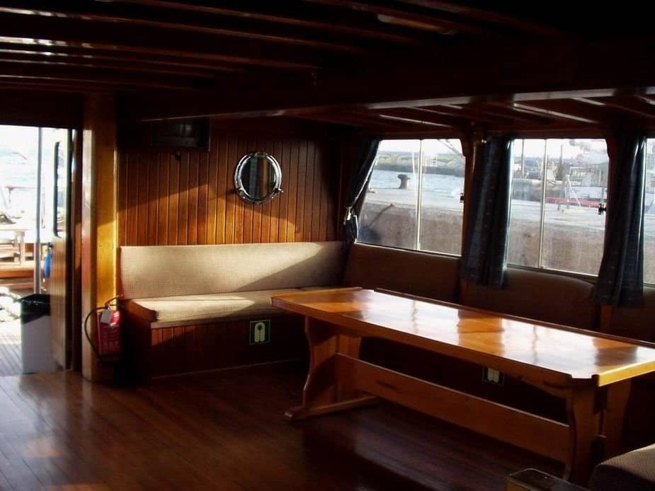 Ethical Wildlife Viewing