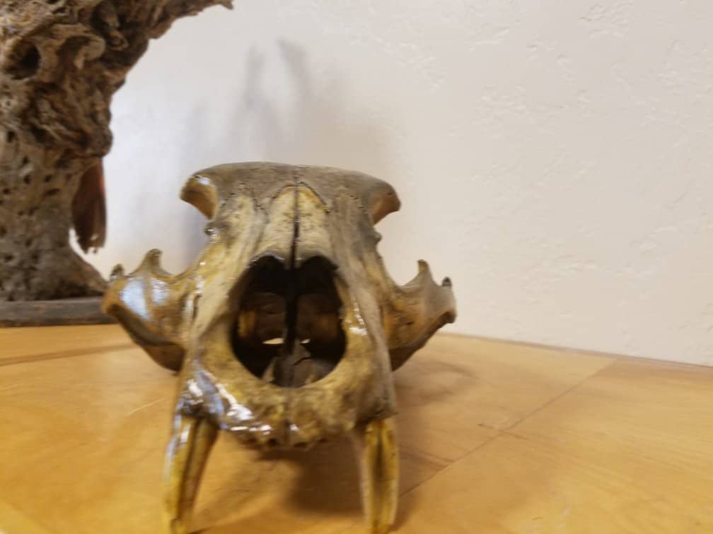 Hands-On Touch Exhibits