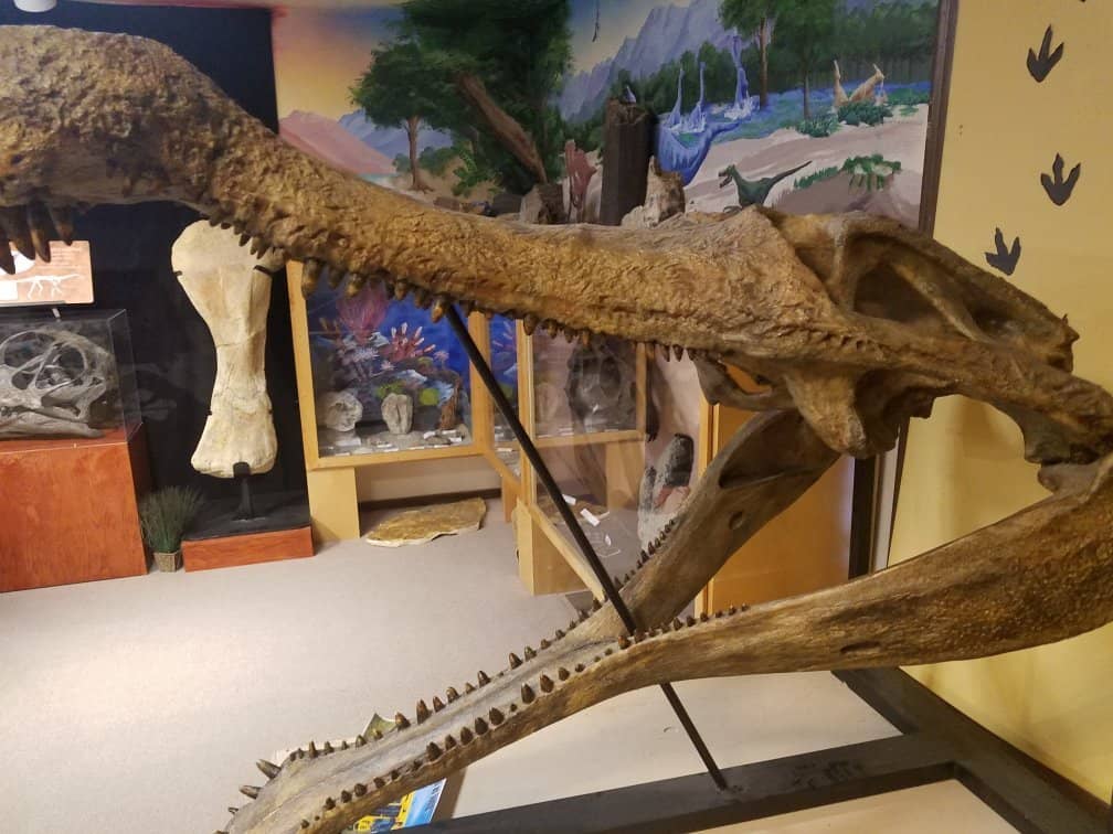 Local Utah History