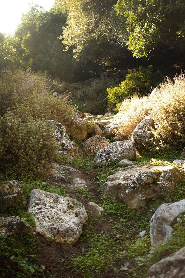 Reaching the Sea