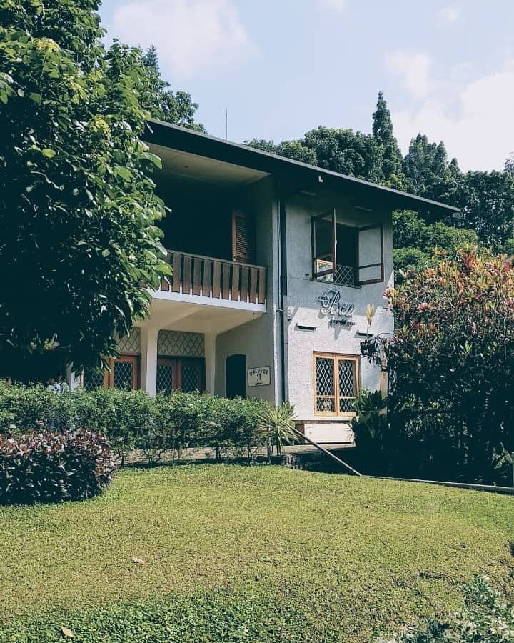 Highlights