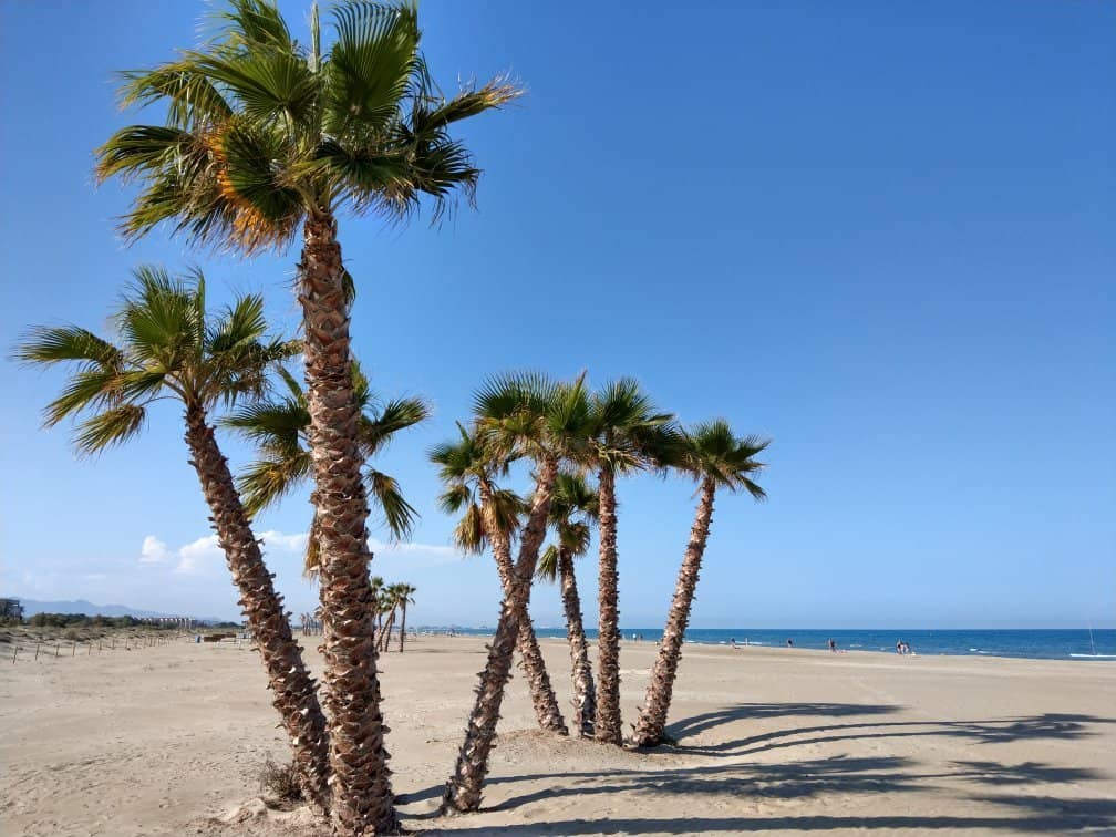 Soft Golden Sand