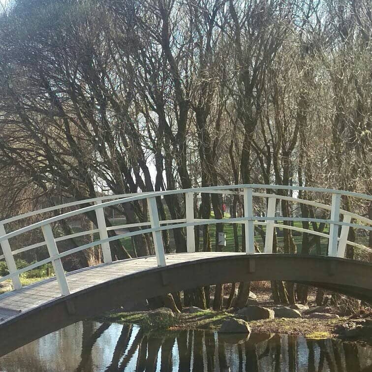 River View Rowing Machines