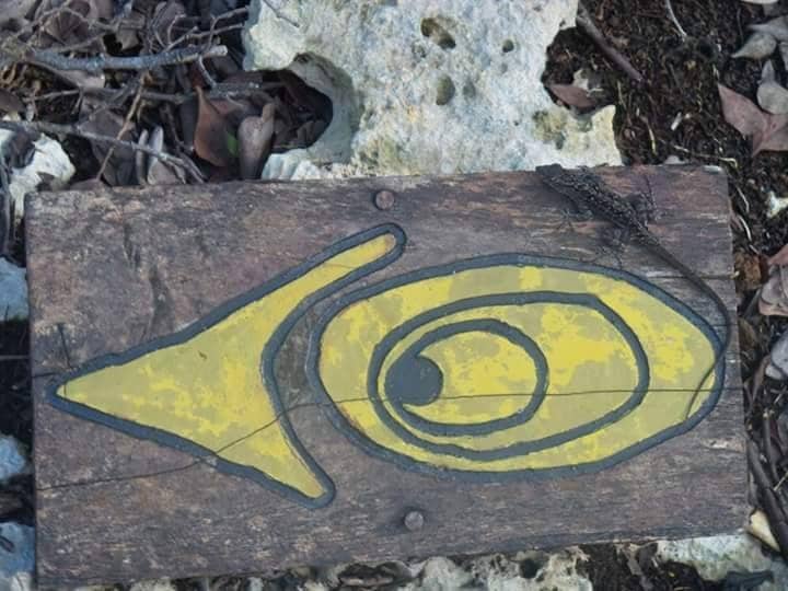 Prehistoric Pictographs