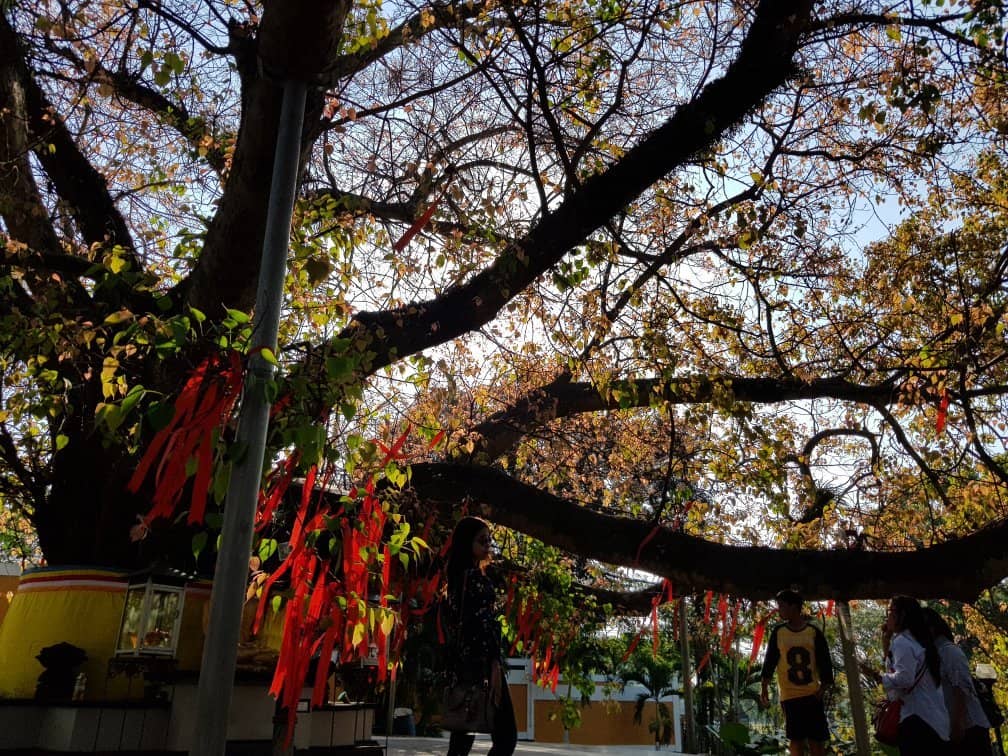 Carved Stone Pillars