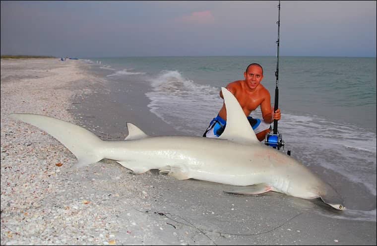 Big Shell Beach
