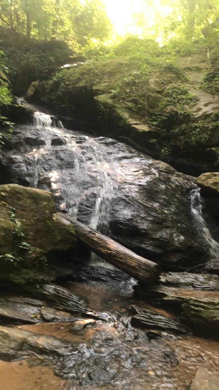Scenic Loop Hike