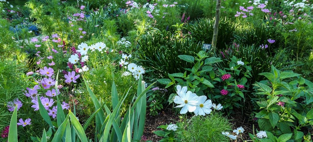 Seasonal Flower Displays