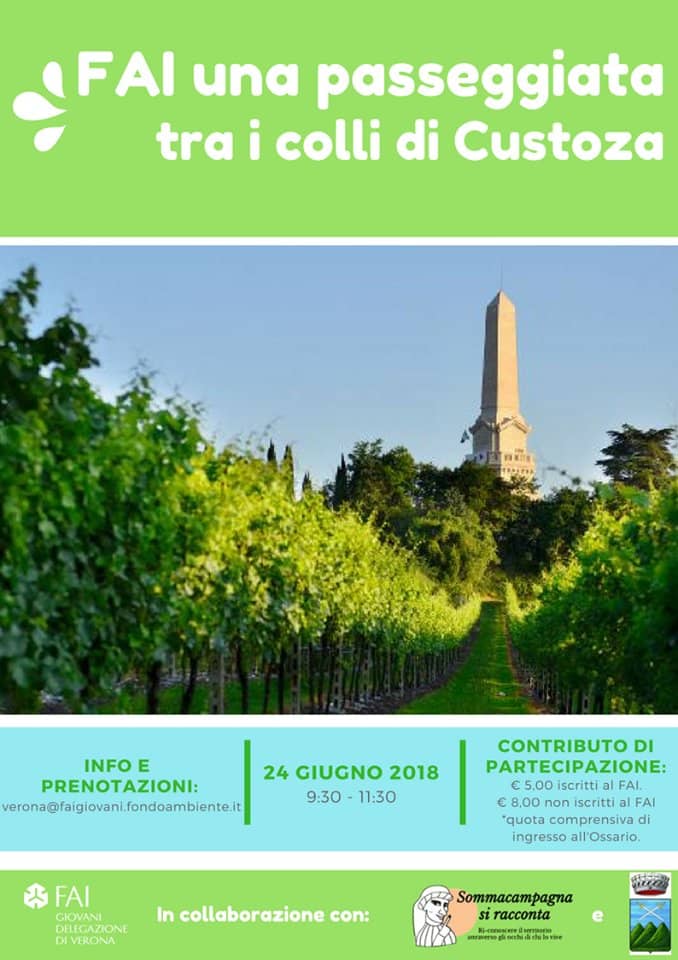 Panoramic Hilltop Views