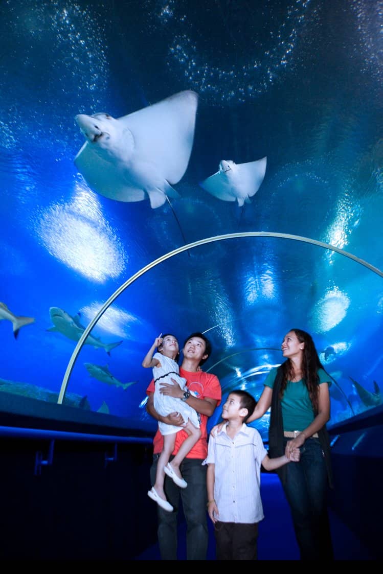 Giant Albino Python Photo Op