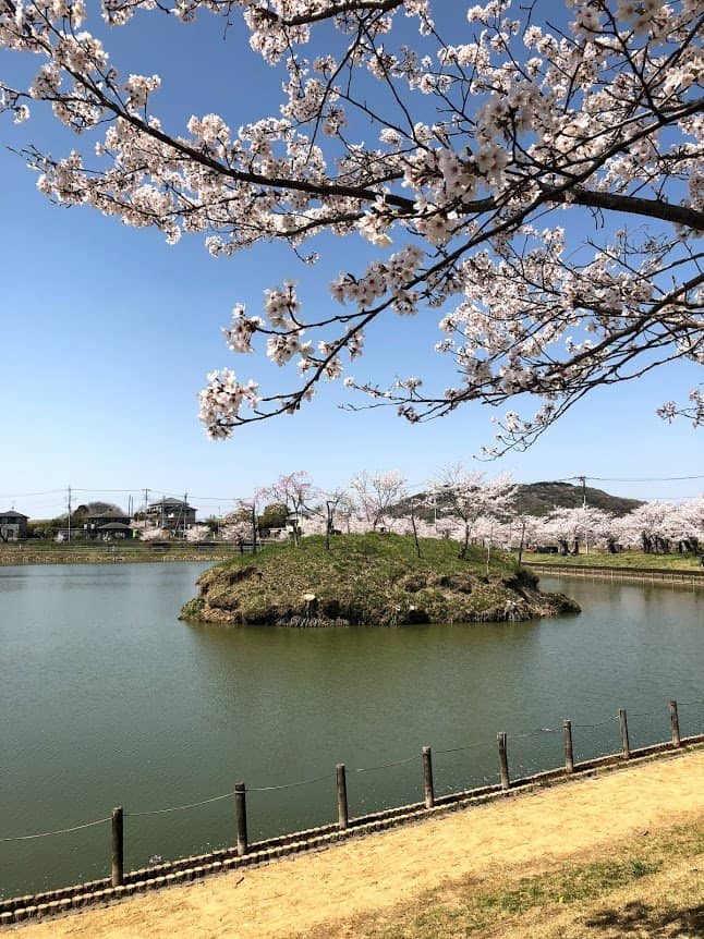 Stunning Sunset Views