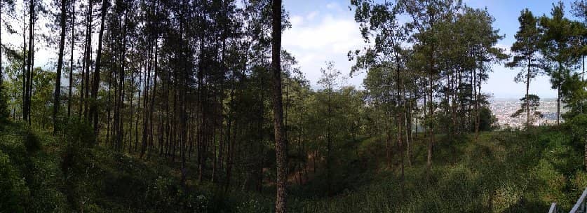 Vertical photo