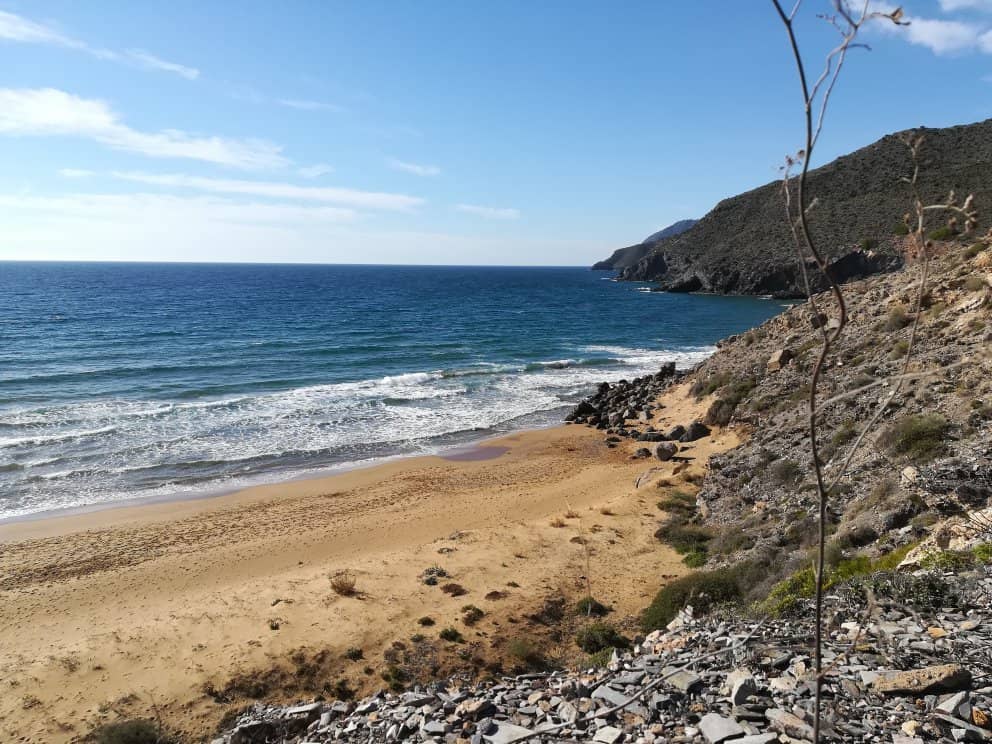 Scenic Hiking Trails
