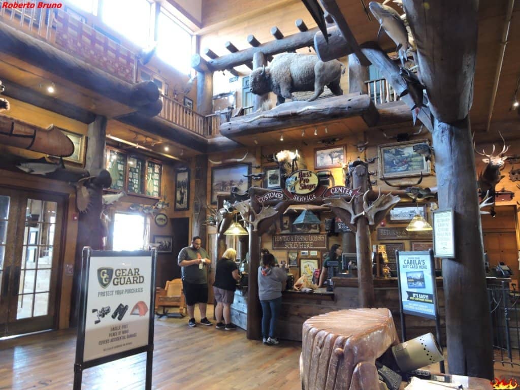 Taxidermy Wildlife Displays