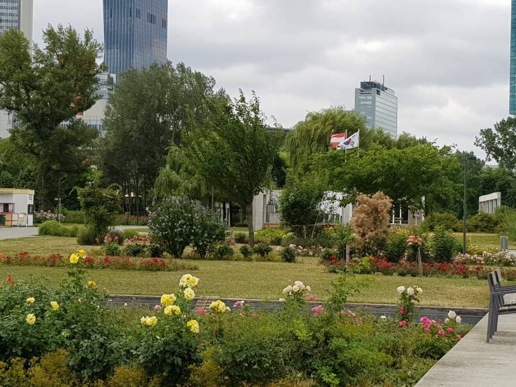 Danube Island Views