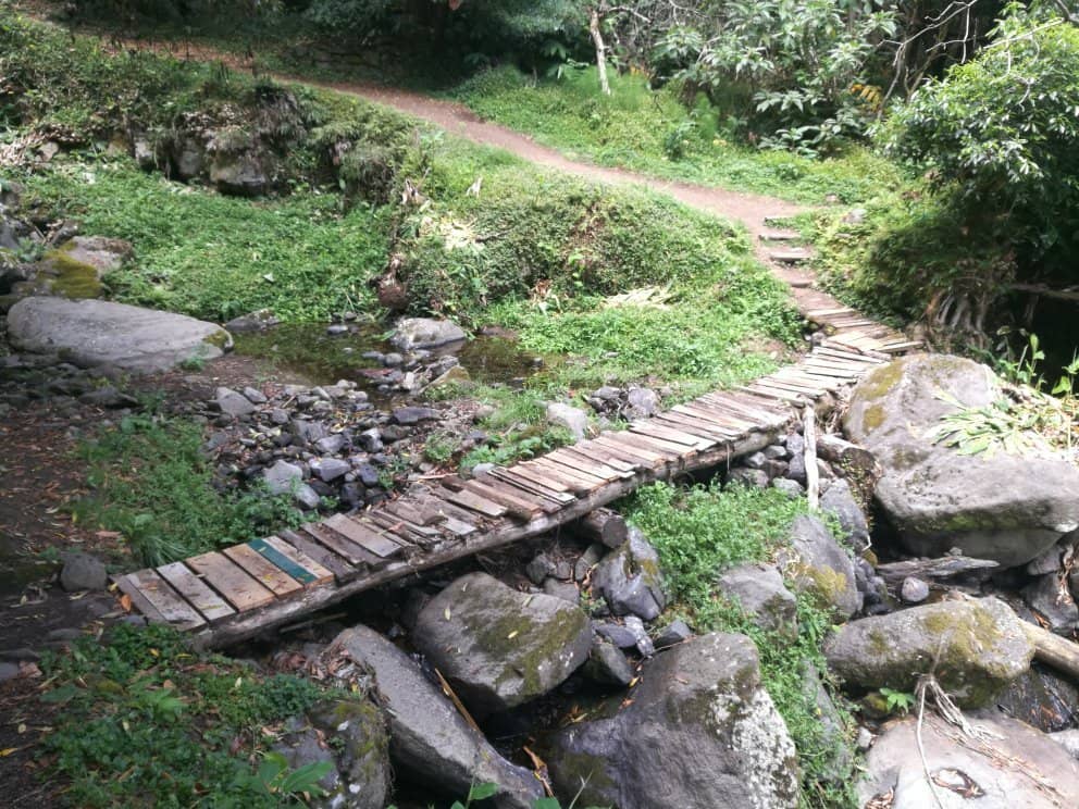 The Trail Experience