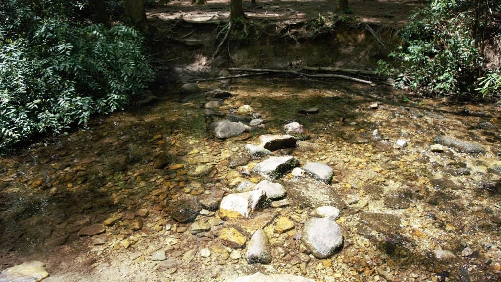 Davidson River Stroll