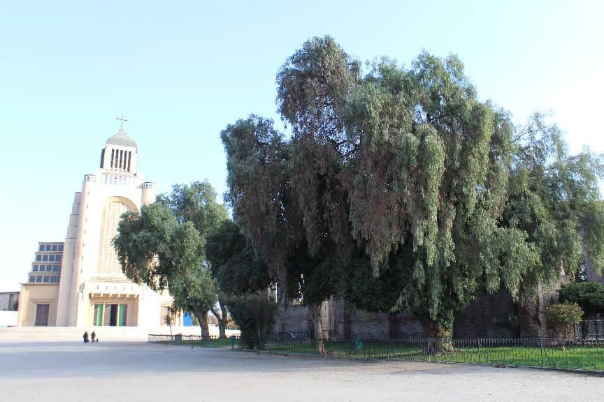 Vertical photo