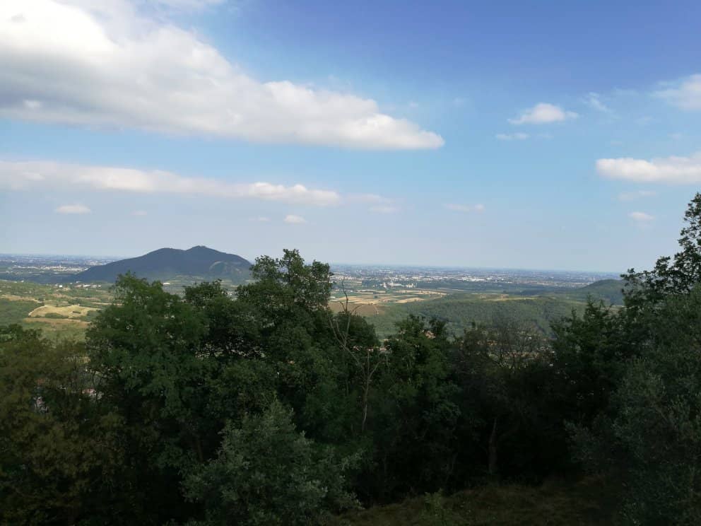 Local History Museum