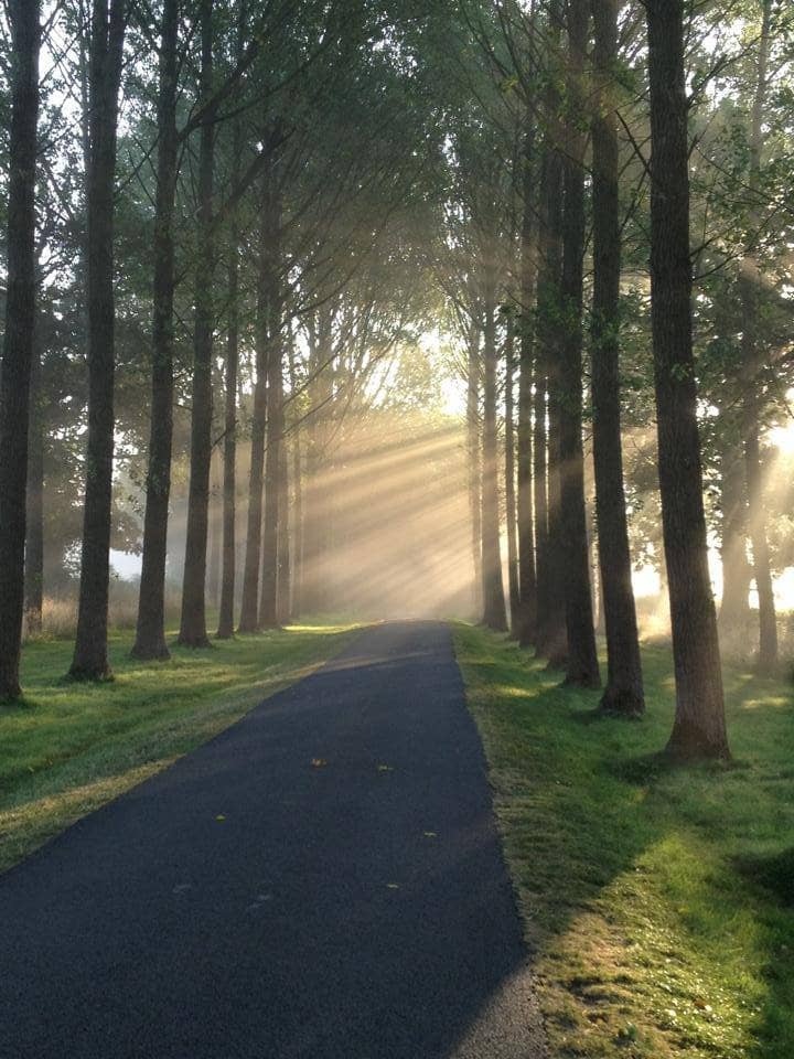 Vertical photo