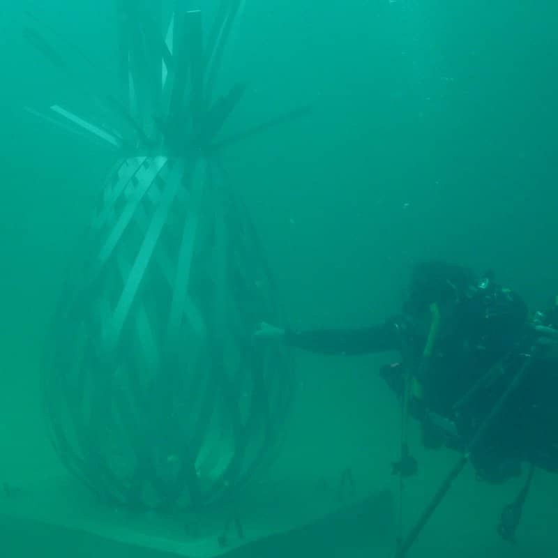 Glass-Bottom Boat Tour
