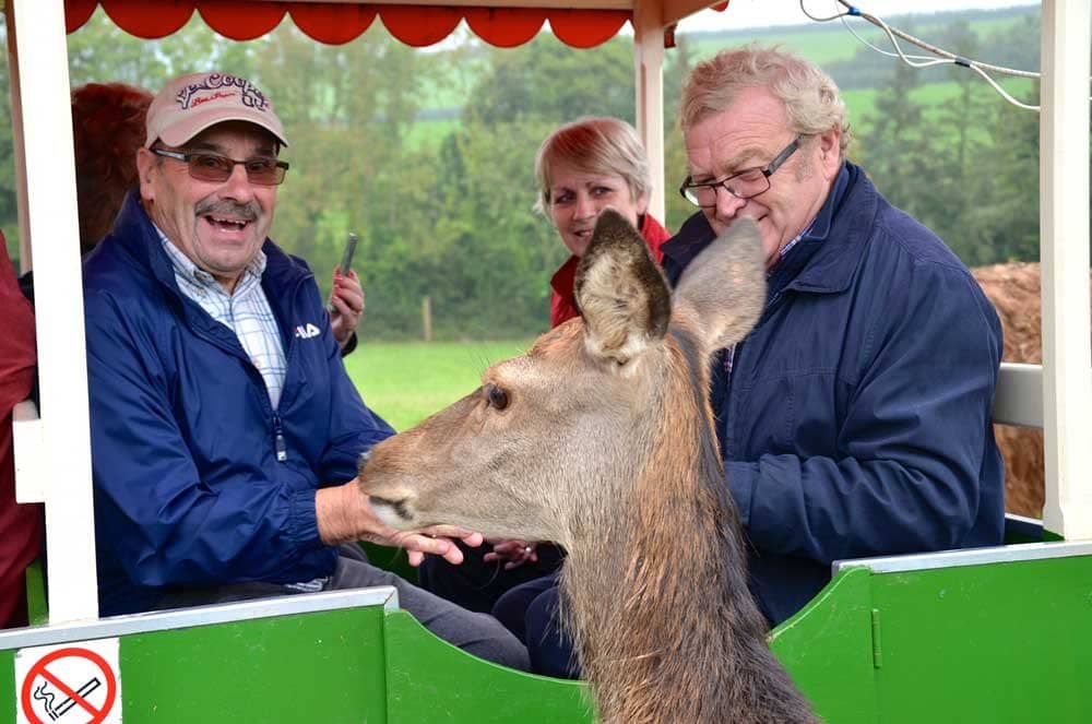 Bird of Prey Demonstration