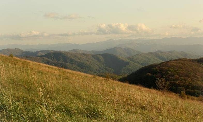 Elopement and Wedding Spot