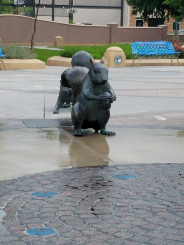 Holiday Lights Display