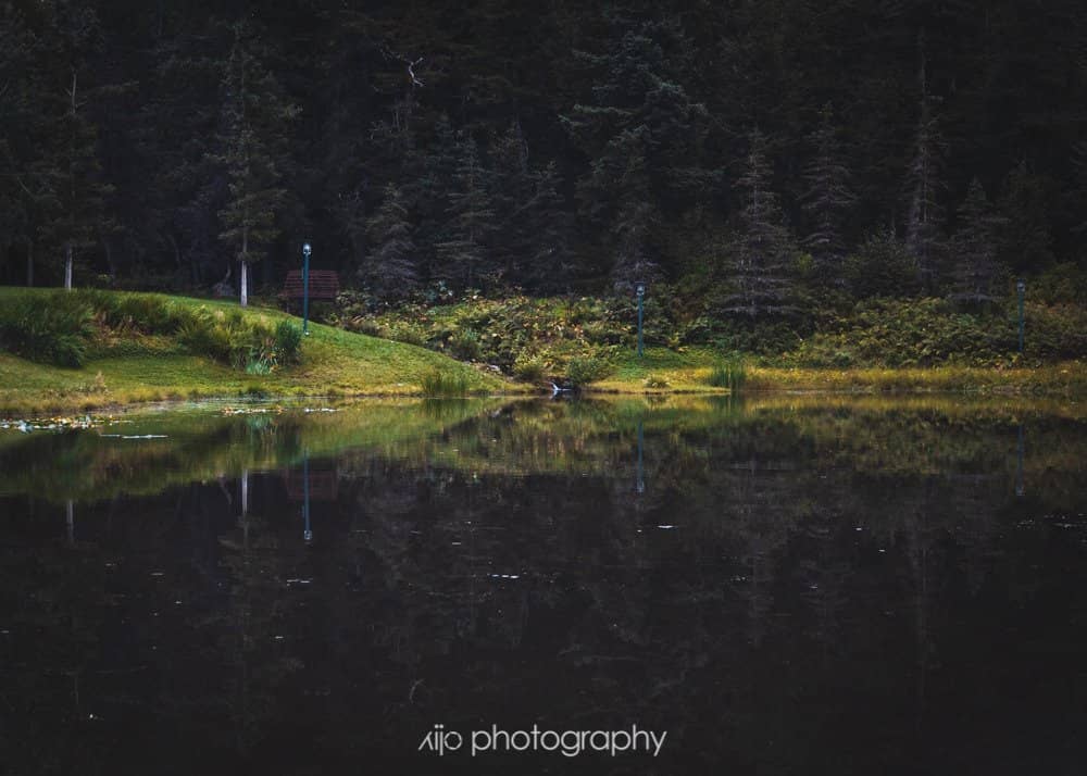 Vertical photo